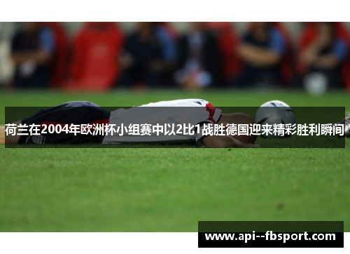 荷兰在2004年欧洲杯小组赛中以2比1战胜德国迎来精彩胜利瞬间 荷兰在2004年欧洲杯小组赛中以2比1战胜德国迎来精彩胜利瞬间