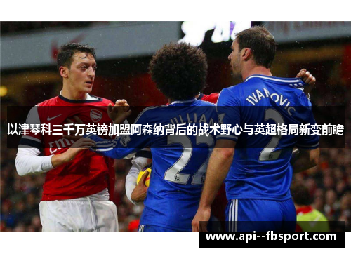 以津琴科三千万英镑加盟阿森纳背后的战术野心与英超格局新变前瞻