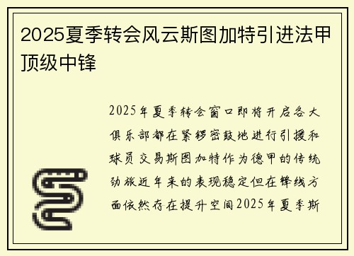 2025夏季转会风云斯图加特引进法甲顶级中锋